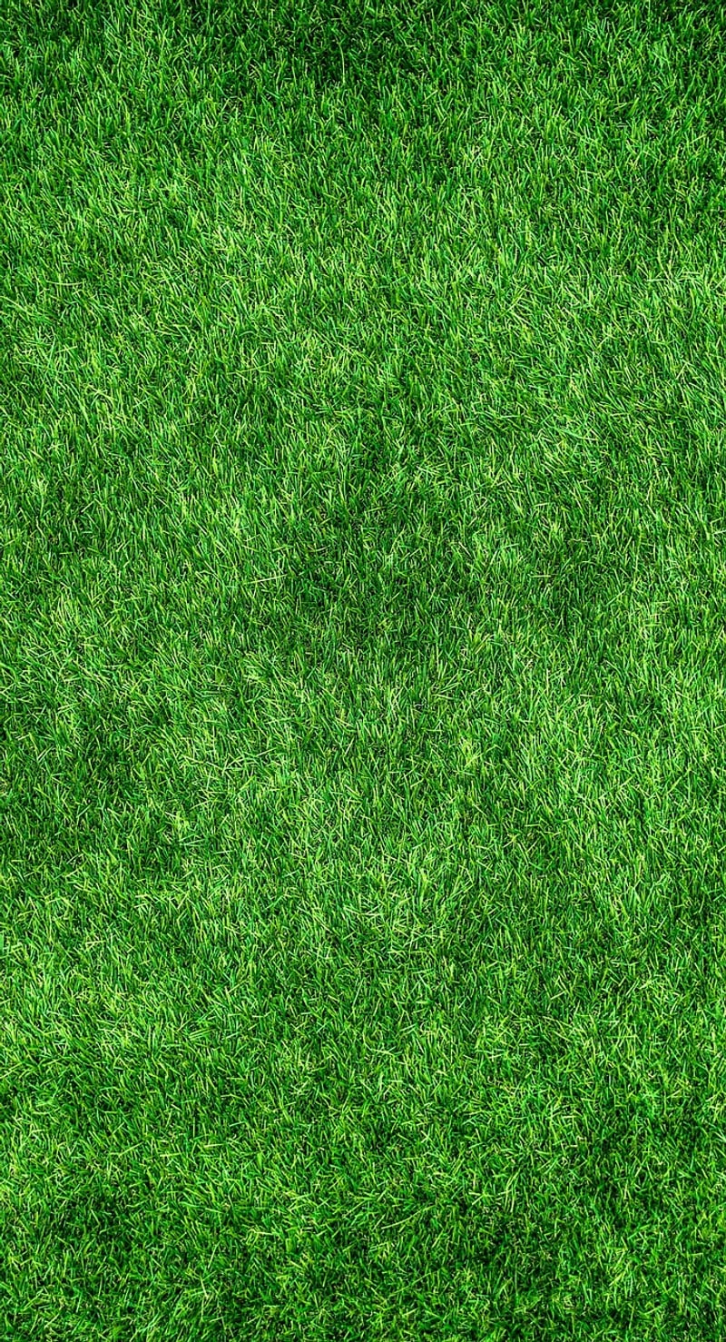 Eco-Friendly Products